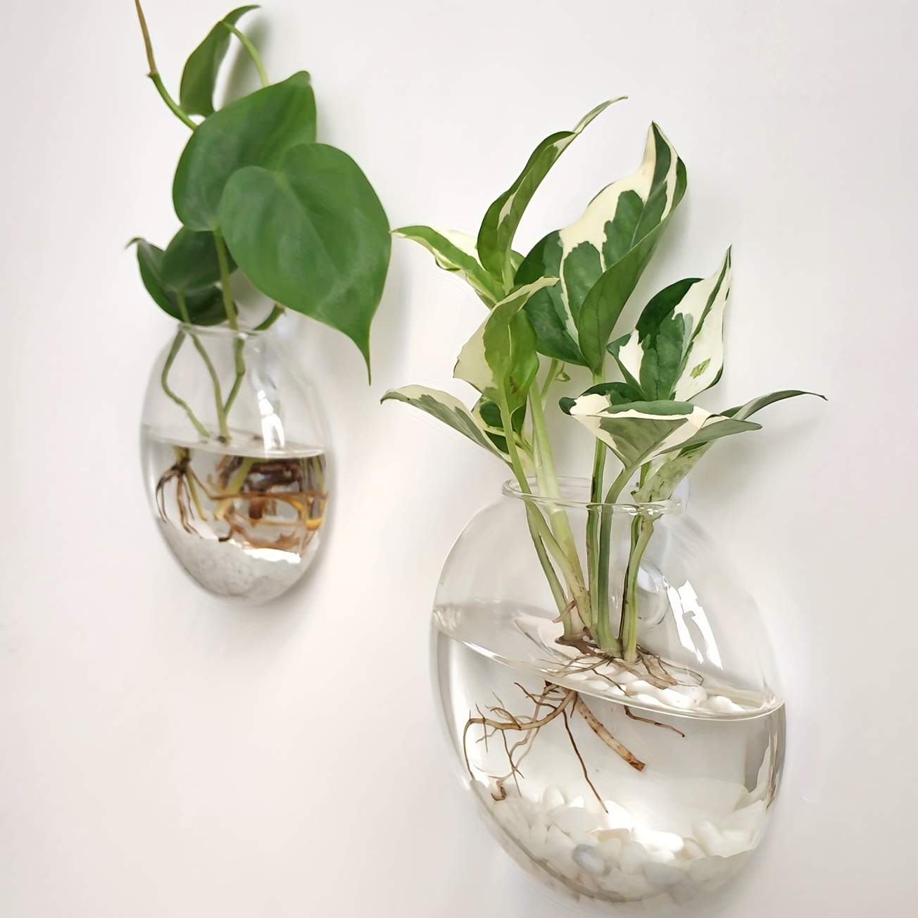 Hydroponic Grow Pod - 2 Pieces / 4 Pieces /