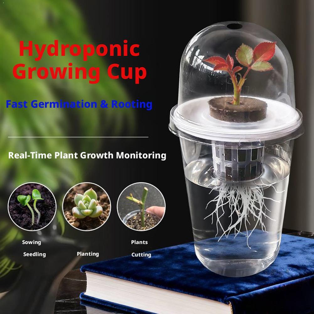 Plant Vegetable Seedling Hydro - Hydroponic Tower ulasan dan harga