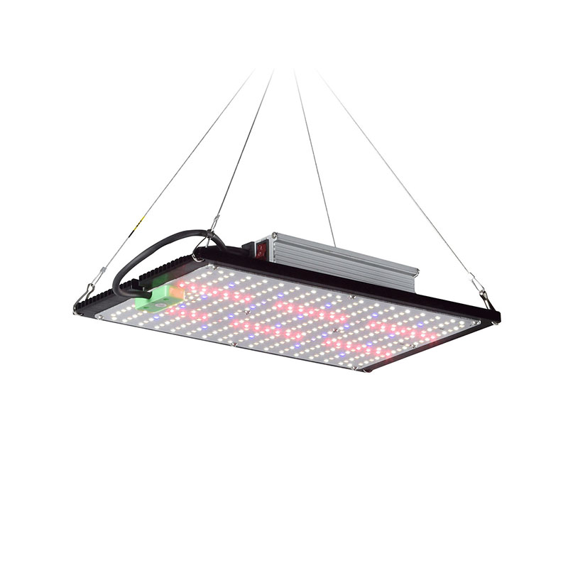LED Quantum‑Board Grow Light F - Plant Grow Light Full Spectrum ulasan dan harga
