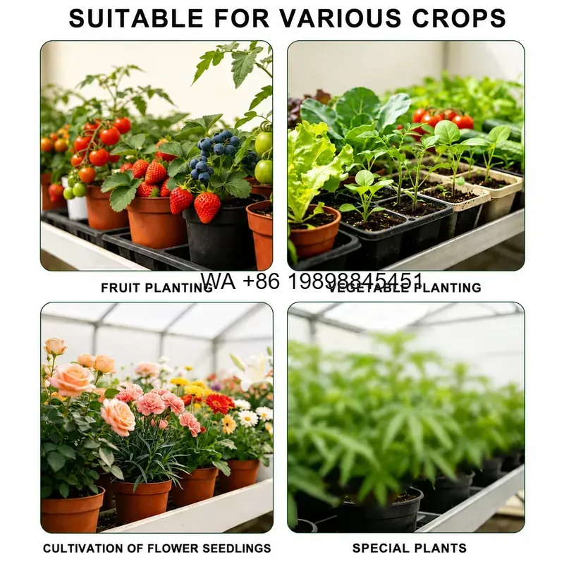 Wmwmnu Hot Selling Track Rolli - Smart Garden System ulasan dan harga