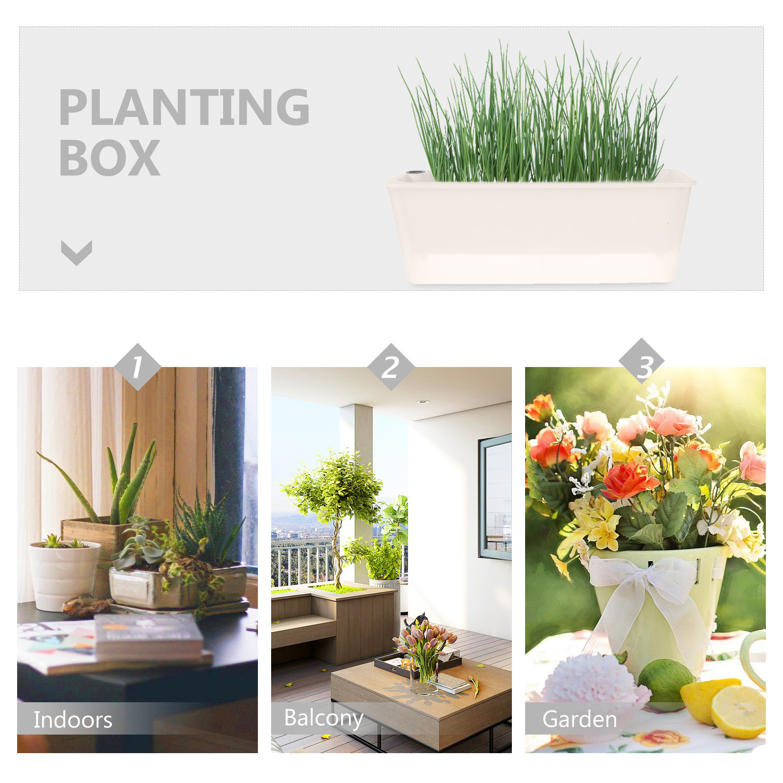 Rectangle Planter Box Long Pla - Self Watering Planter ulasan dan harga