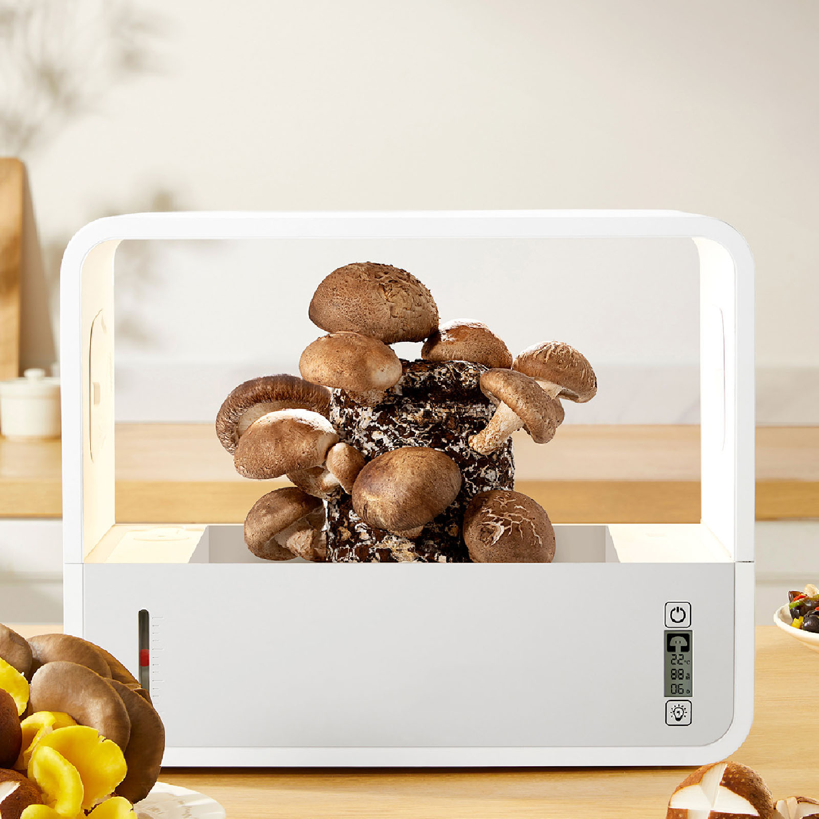 Mushroom Growing Tent Kit Smar - Grow Light Led ulasan dan harga