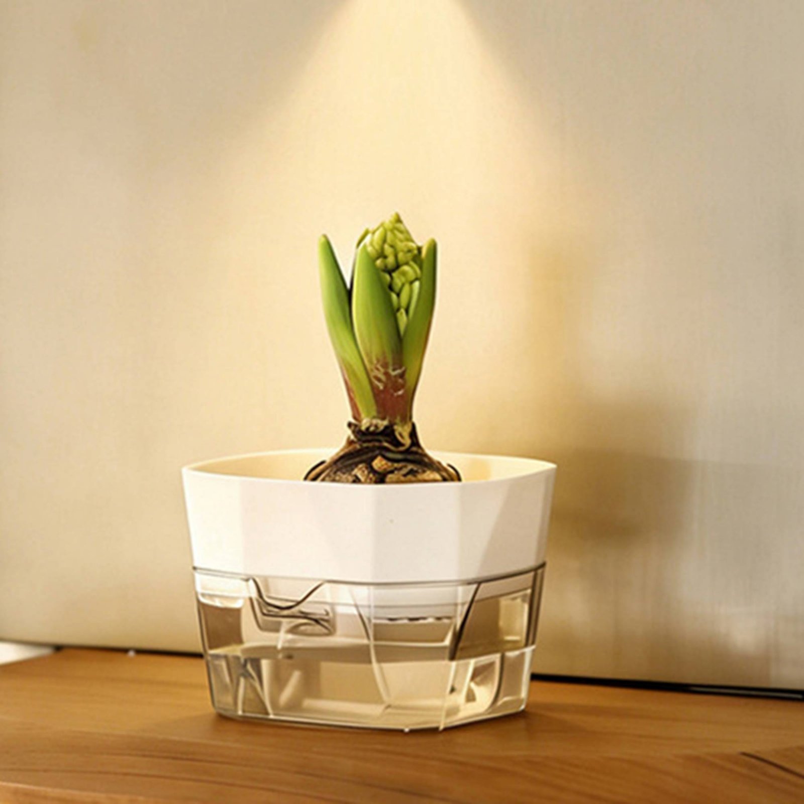 Hydroponic Bulb Vase 2-Tier De - Automatic Watering ulasan dan harga