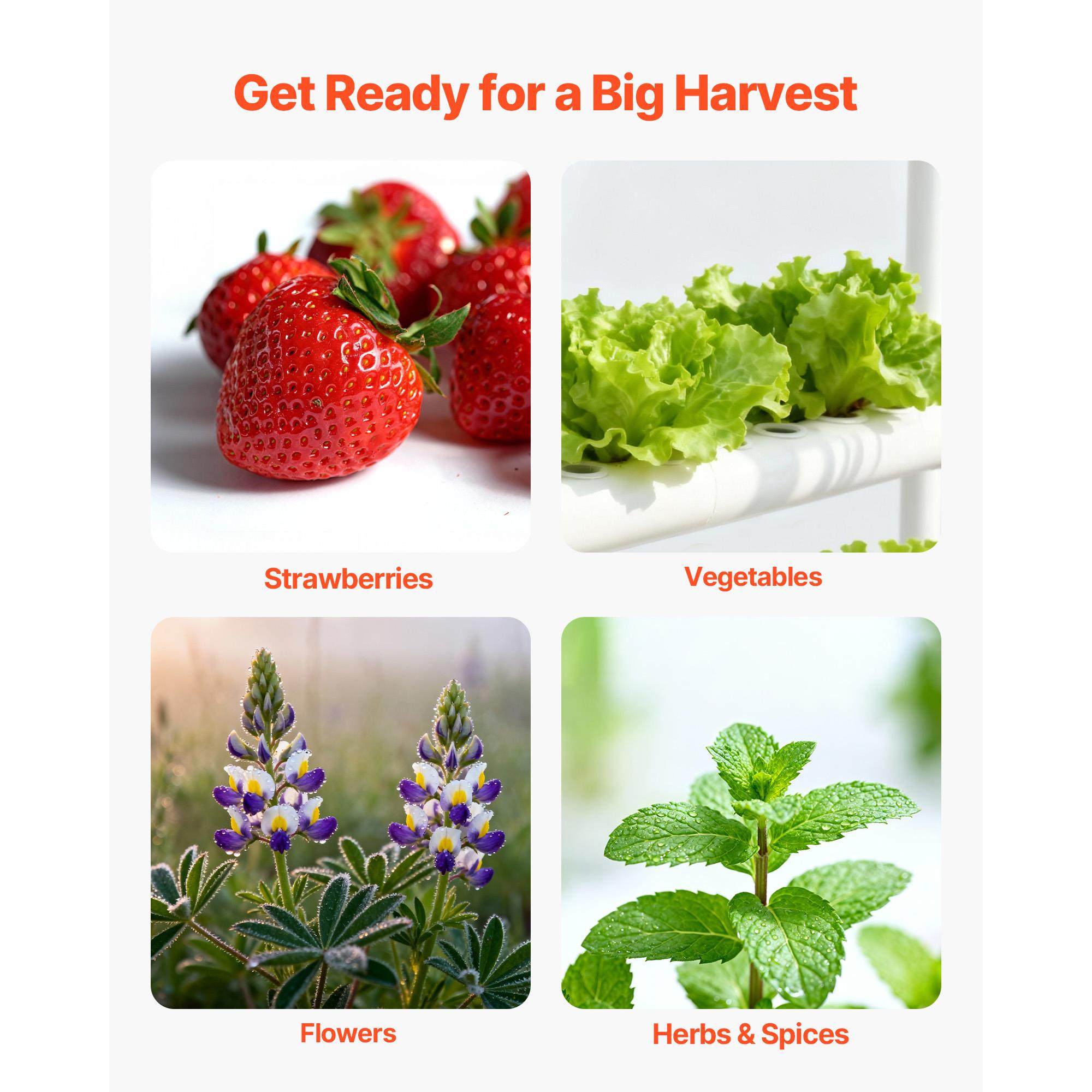 3 Tier 90 Sites Hydroponic Gro - Indoor Garden Kit ulasan dan harga