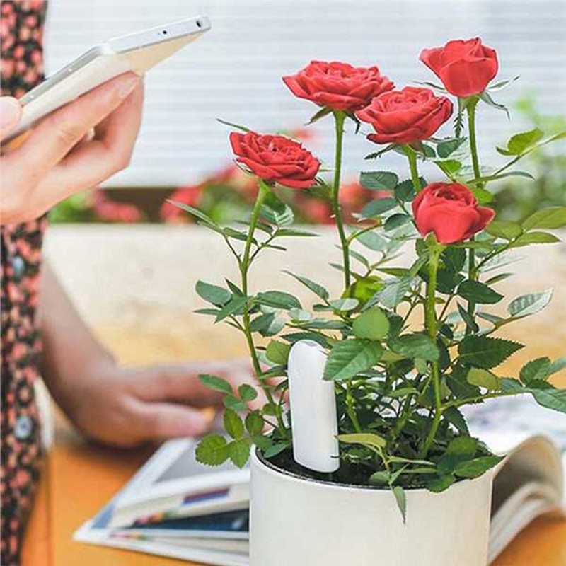 ABVG-Flora Smart Flower Monito - Plant Sensor ulasan dan harga