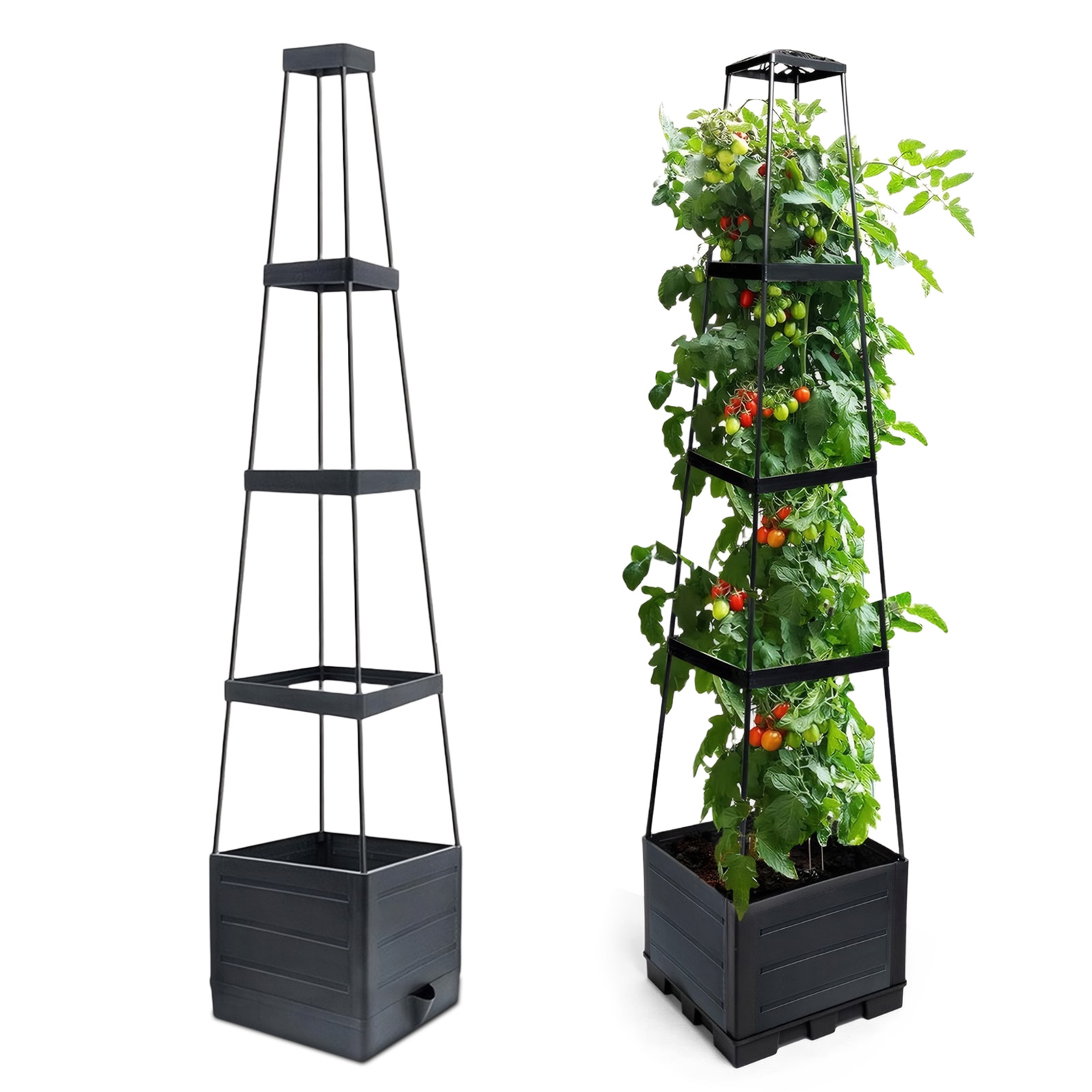 Raised Garden Bed Planter Box  - Self Watering Planter ulasan dan harga