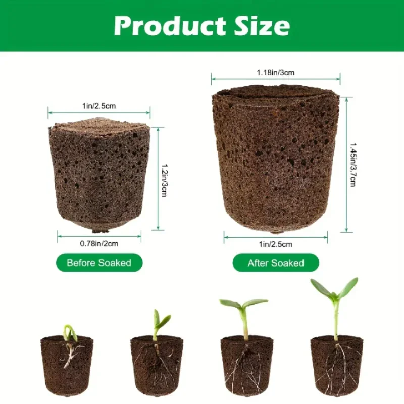 Seedling Starter Sponge Kit fo - Indoor Garden Kit ulasan dan harga