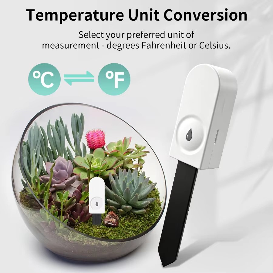 Zigbee 3.0 Plant Monitor Soil  - Plant Monitor ulasan dan harga