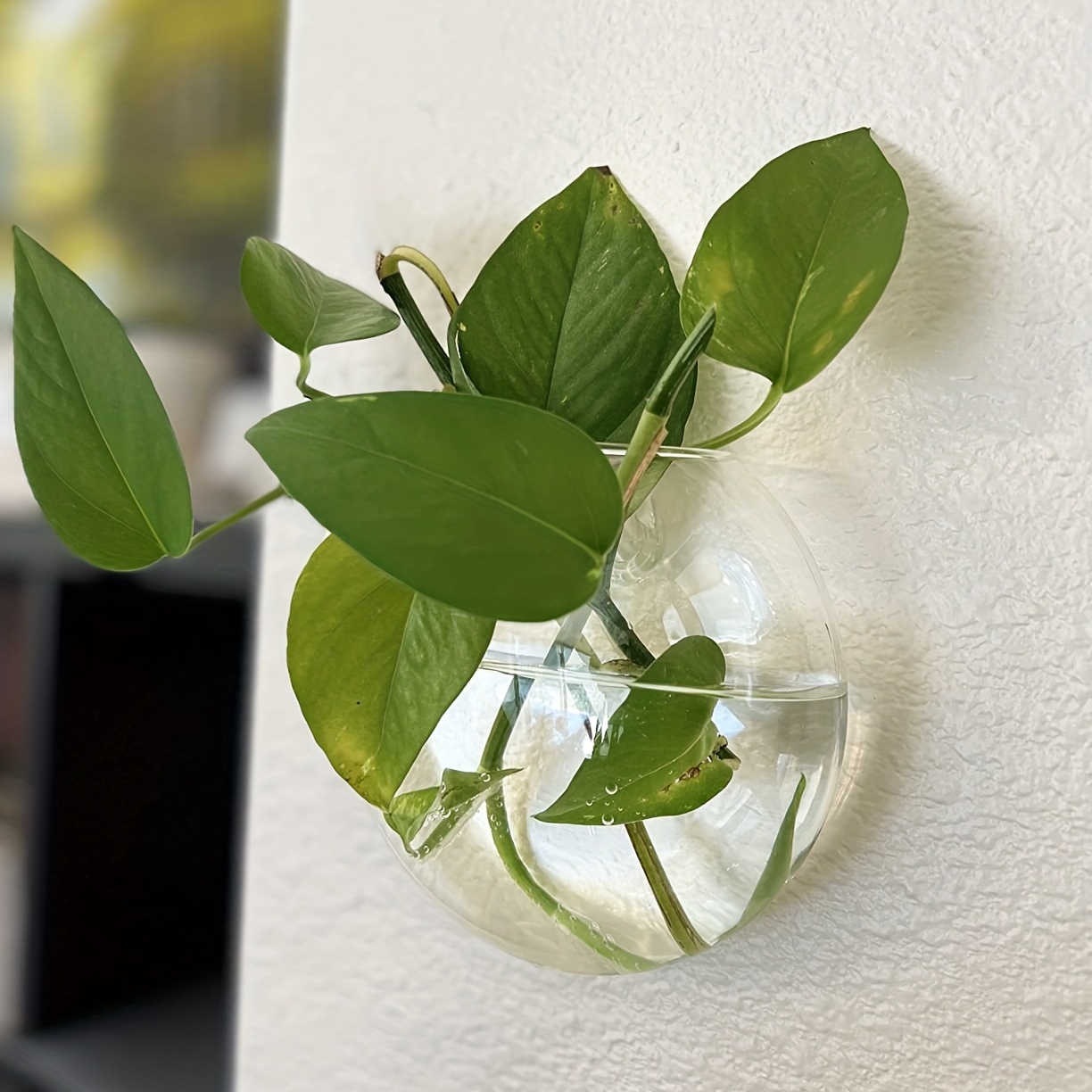 2 Pieces / 4 Pieces / 6 Pieces - Hydroponic Grow Pod ulasan dan harga