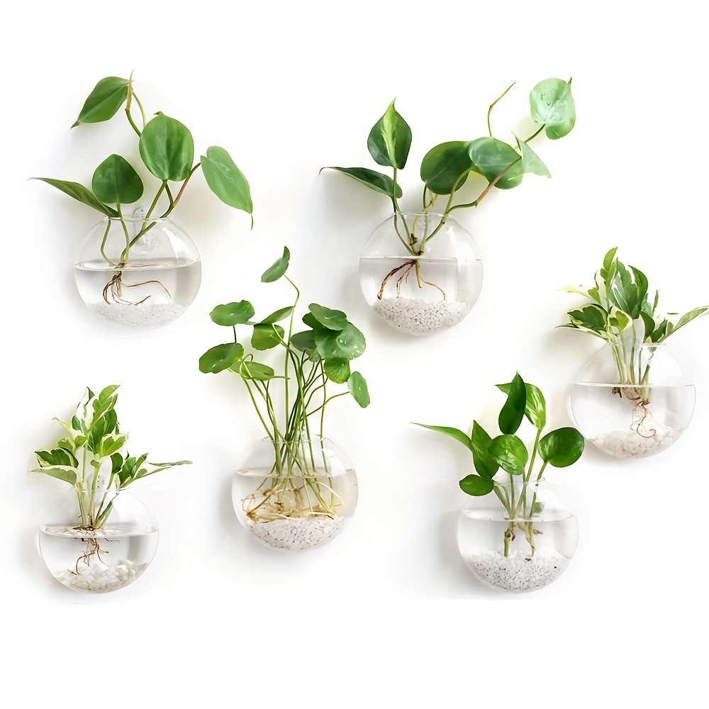 2 Pieces / 4 Pieces / 6 Pieces - Hydroponic Grow Pod ulasan dan harga