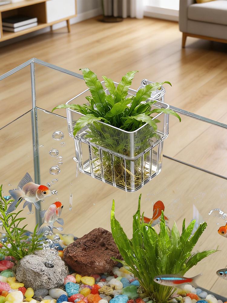 Aquarium Plant Holder Transpar - Hydroponic Grow Pod ulasan dan harga