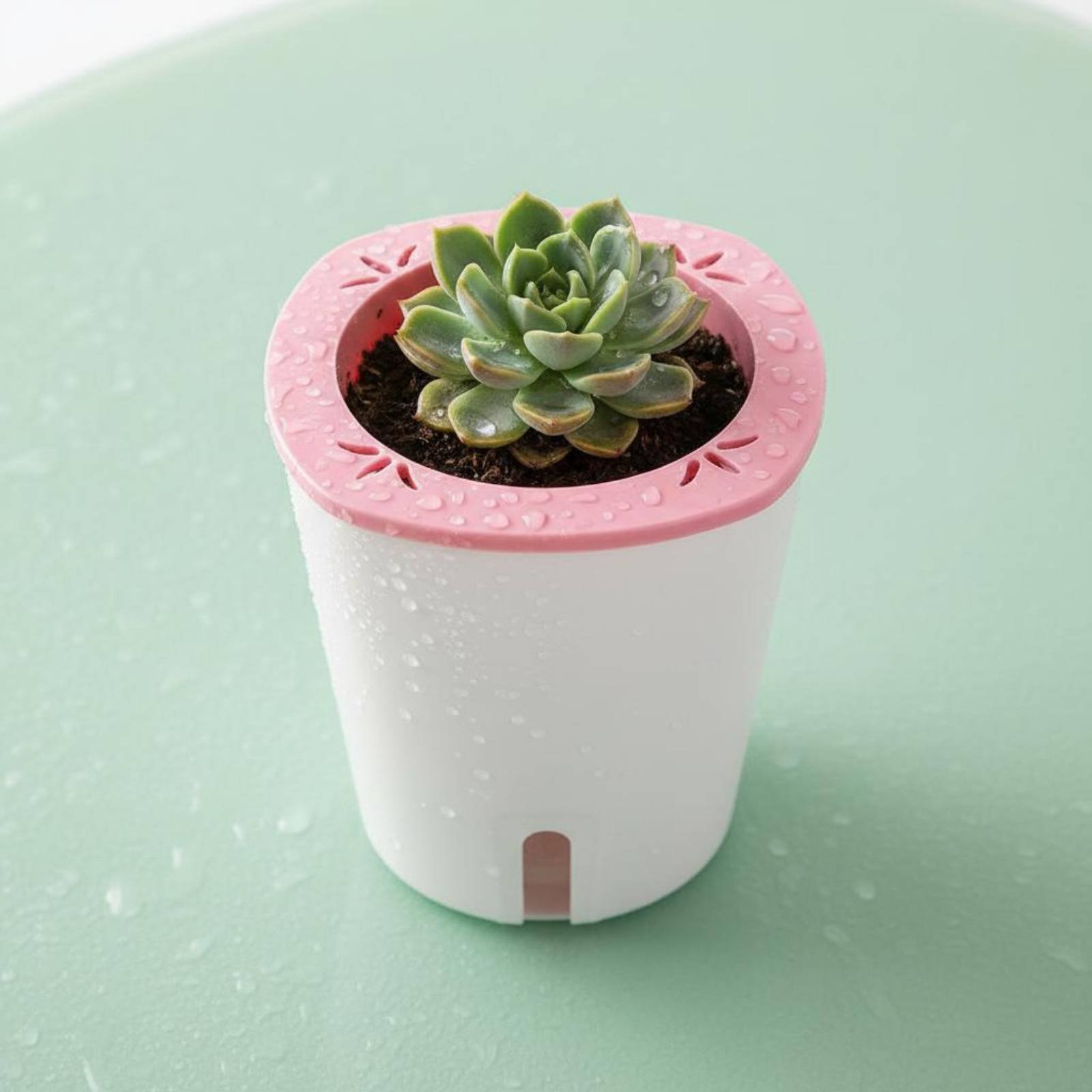 Self Watering Planter Large Si - Self Watering Planter ulasan dan harga