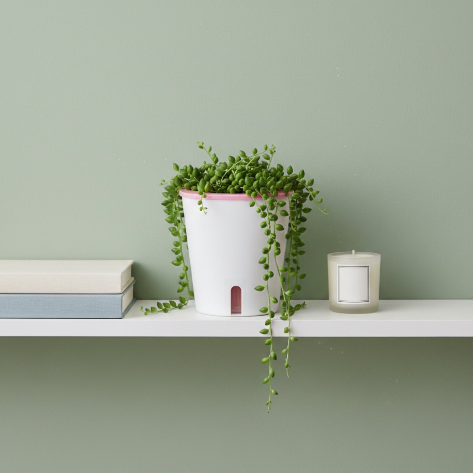 Self Watering Planter Large Si - Self Watering Planter ulasan dan harga