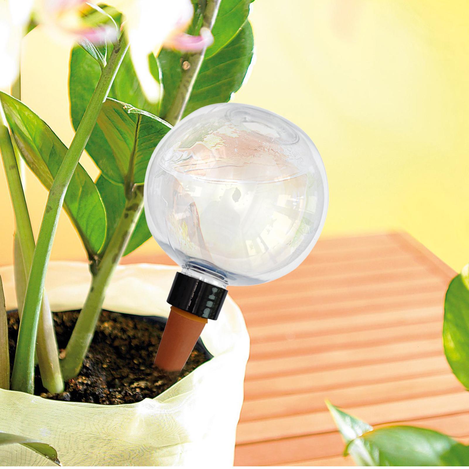 500ml Automatic Plant Watering - Self Watering Planter ulasan dan harga