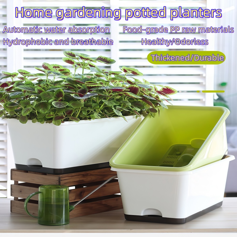 Widened Self Watering Planter  - Self Watering Planter ulasan dan harga