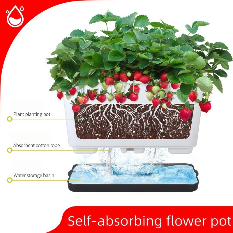 Widened Self Watering Planter  - Self Watering Planter ulasan dan harga