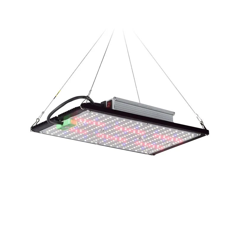 LED Quantum‑Board Grow Light F - Plant Grow Light Full Spectrum ulasan dan harga