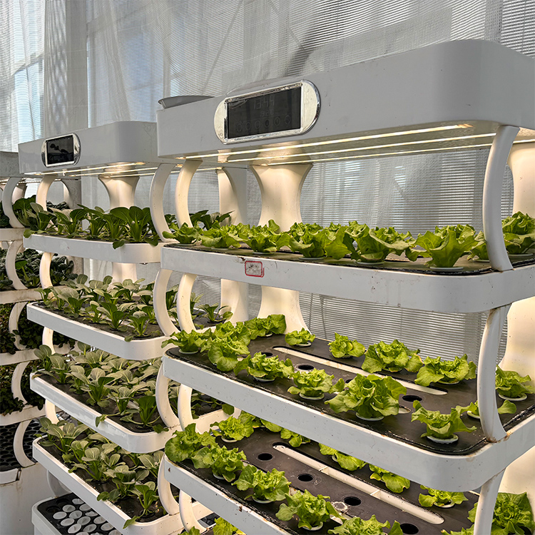 Intelligent Indoor Garden Plan - Grow Light Led ulasan dan harga